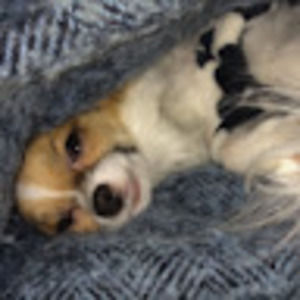 Meet your Posher, Amy gail